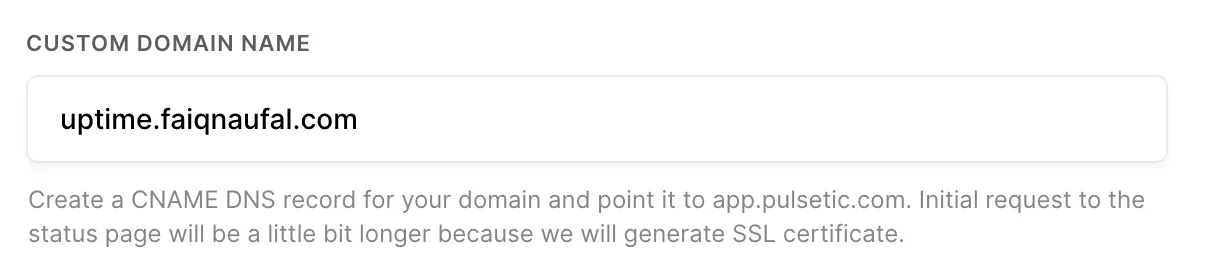 Image of custom domain name field